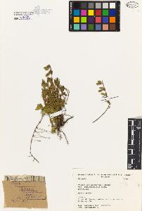 SW_BNB_s3080-04753_IMG-0000000001