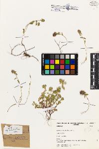 SW_BNB_s3080-04761_IMG-0000000001
