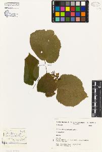 SW_BNB_s3080-04771_IMG-0000000001