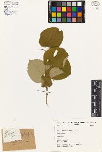 SW_BNB_s3080-04772_IMG-0000000001