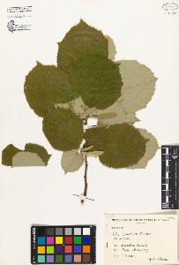 SW_BNB_s3080-04774_IMG-0000000001
