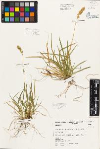 SW_BNB_s3080-04778_IMG-0000000001