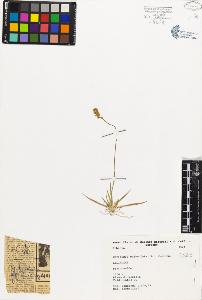 SW_BNB_s3080-04781_IMG-0000000001