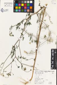 SW_BNB_s3080-04783_IMG-0000000001