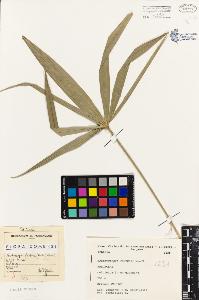 SW_BNB_s3080-04786_IMG-0000000001