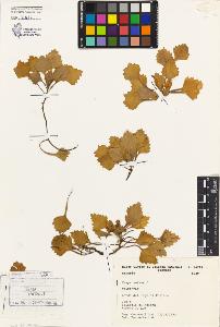 SW_BNB_s3080-04790_IMG-0000000001