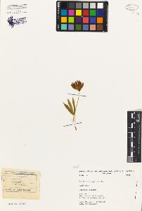 SW_BNB_s3080-04798_IMG-0000000001