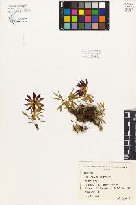 SW_BNB_s3080-04800_IMG-0000000001