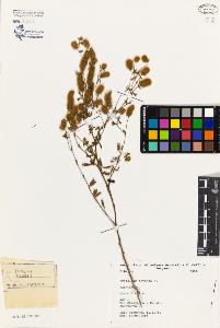 SW_BNB_s3080-04803_IMG-0000000001