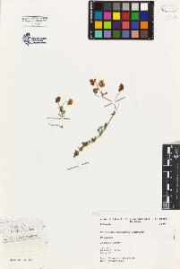 SW_BNB_s3080-04809_IMG-0000000001