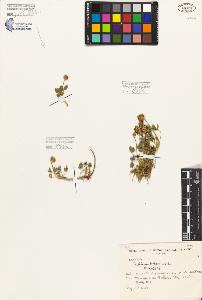 SW_BNB_s3080-04812_IMG-0000000001