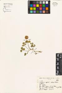 SW_BNB_s3080-04828_IMG-0000000001