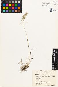 SW_BNB_s3080-04834_IMG-0000000001
