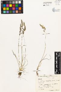 SW_BNB_s3080-04835_IMG-0000000001