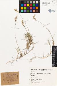 SW_BNB_s3080-04837_IMG-0000000001