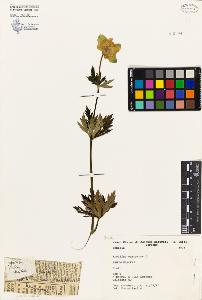 SW_BNB_s3080-04839_IMG-0000000001