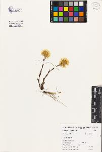 SW_BNB_s3080-04843_IMG-0000000001