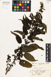 SW_BNB_s3080-04857_IMG-0000000001