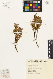 SW_BNB_s3080-04859_IMG-0000000001