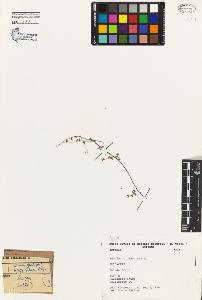 SW_BNB_s3080-04865_IMG-0000000001