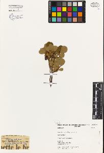 SW_BNB_s3080-04867_IMG-0000000001