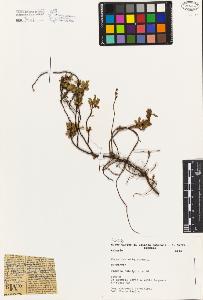 SW_BNB_s3080-04868_IMG-0000000001