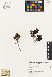 SW_BNB_s3080-04873_IMG-0000000001