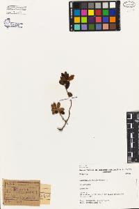 SW_BNB_s3080-04874_IMG-0000000001