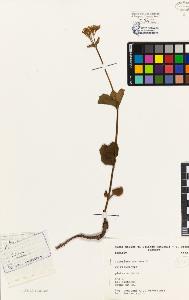 SW_BNB_s3080-04877_IMG-0000000001