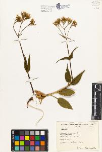 SW_BNB_s3080-04881_IMG-0000000001