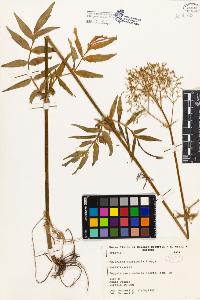 SW_BNB_s3080-04897_IMG-0000000001