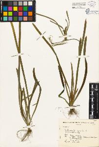 SW_BNB_s3080-04902_IMG-0000000001