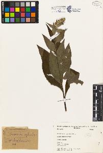 SW_BNB_s3080-04903_IMG-0000000001