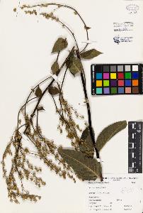 SW_BNB_s3080-04904_IMG-0000000001