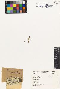 SW_BNB_s3080-04910_IMG-0000000001