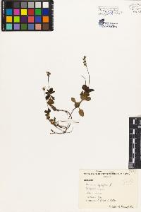 SW_BNB_s3080-04914_IMG-0000000001