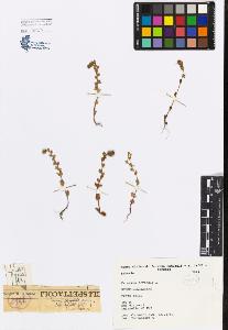 SW_BNB_s3080-04916_IMG-0000000001