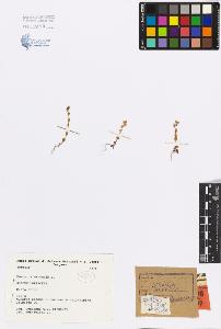 SW_BNB_s3080-04917_IMG-0000000001
