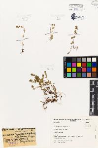 SW_BNB_s3080-04918_IMG-0000000001