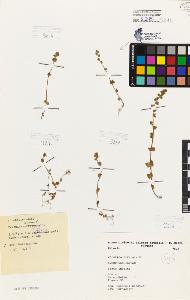 SW_BNB_s3080-04919_IMG-0000000001