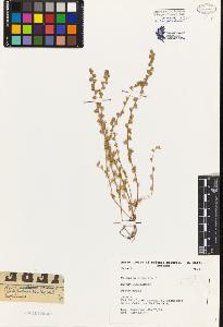 SW_BNB_s3080-04920_IMG-0000000001