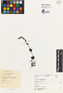 SW_BNB_s3080-04921_IMG-0000000001