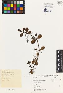 SW_BNB_s3080-04922_IMG-0000000001