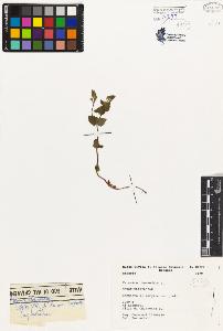 SW_BNB_s3080-04929_IMG-0000000001
