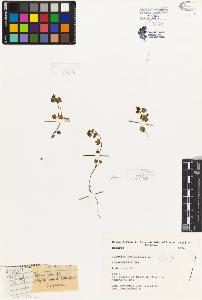 SW_BNB_s3080-04936_IMG-0000000001