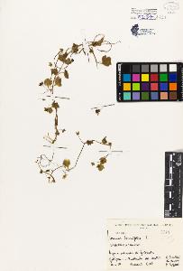 SW_BNB_s3080-04937_IMG-0000000001