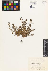 SW_BNB_s3080-04938_IMG-0000000001