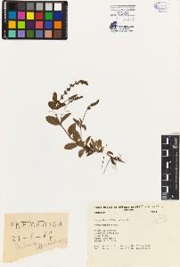 SW_BNB_s3080-04942_IMG-0000000001