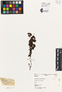 SW_BNB_s3080-04943_IMG-0000000001