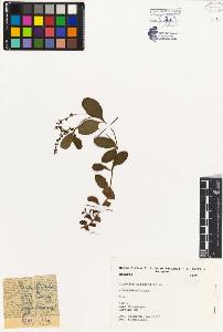 SW_BNB_s3080-04944_IMG-0000000001